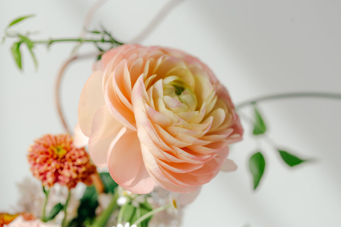The language of flowers continues...in a new way.