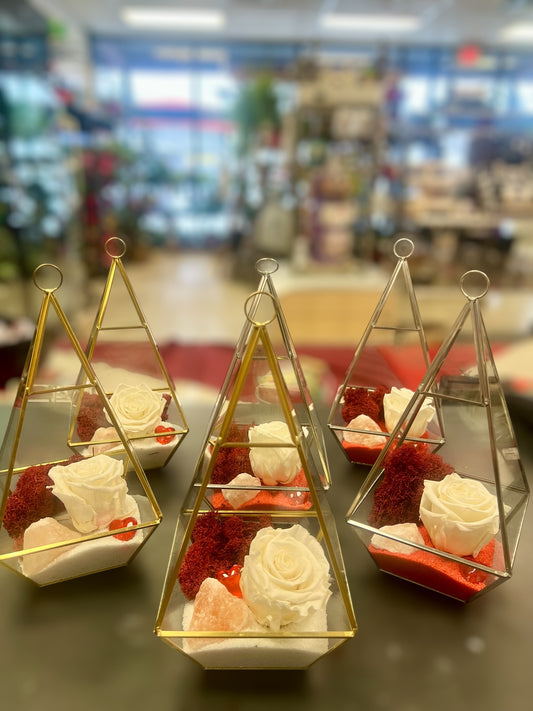 Forever rosé terrarium VD