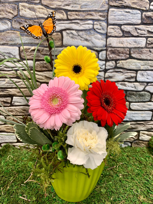 Daisy Day EDAY