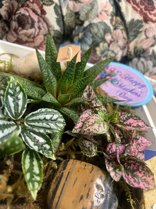 Moms love always grows MDAY