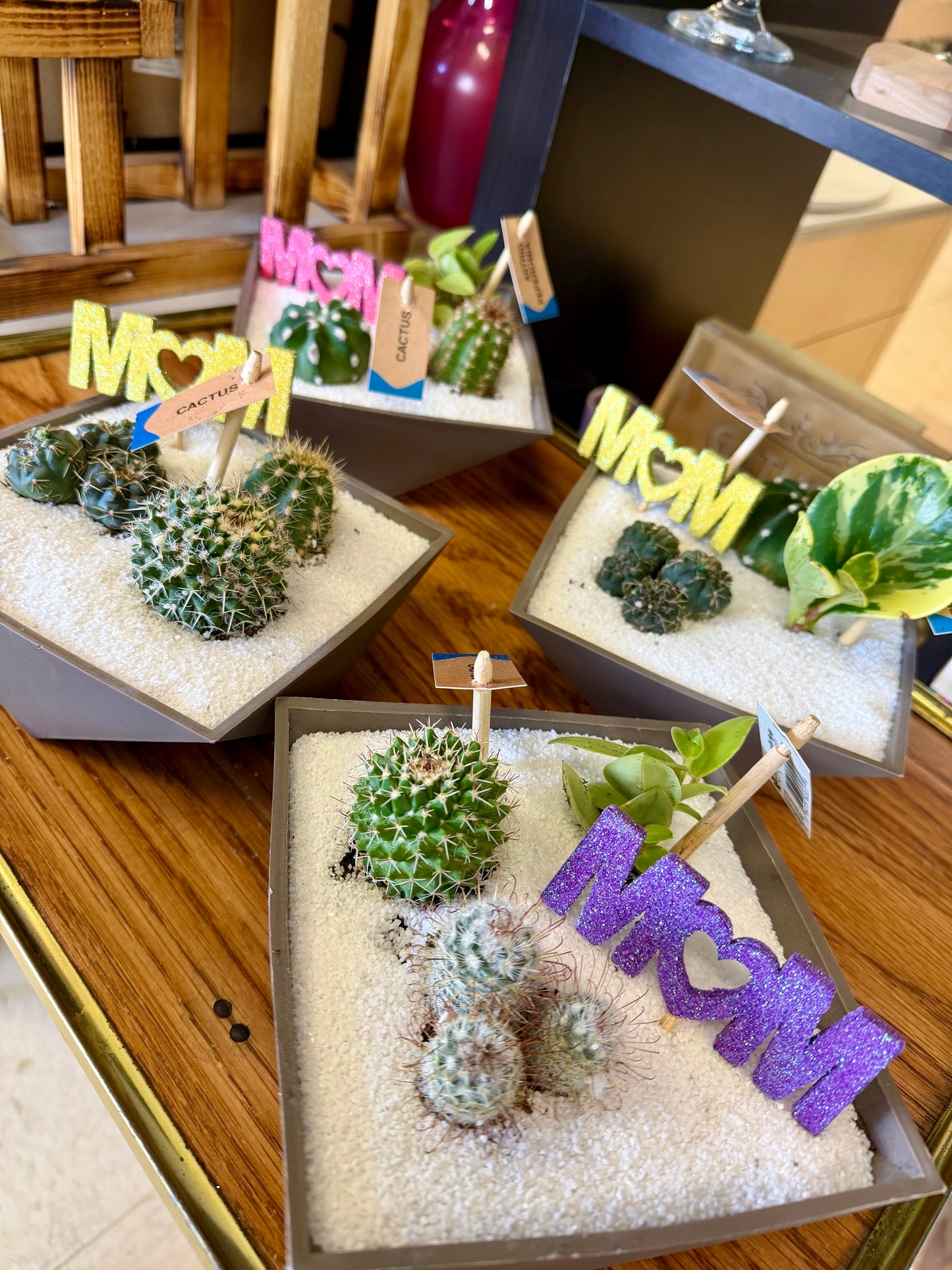 Cactus planter MDAY