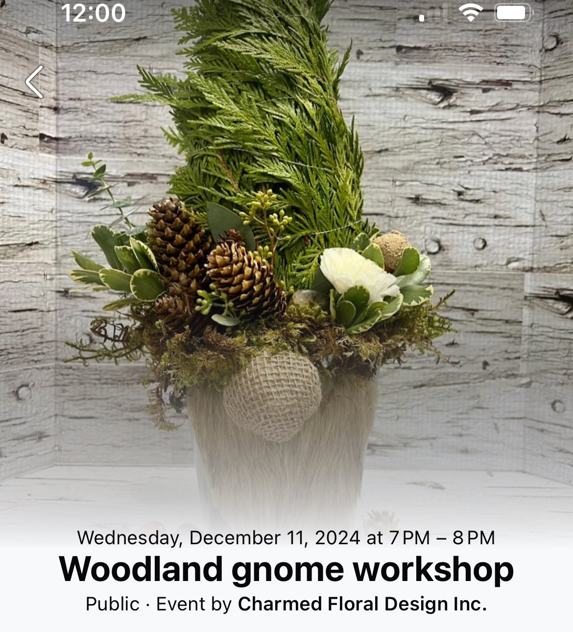 Woodland Gnome - group workshop