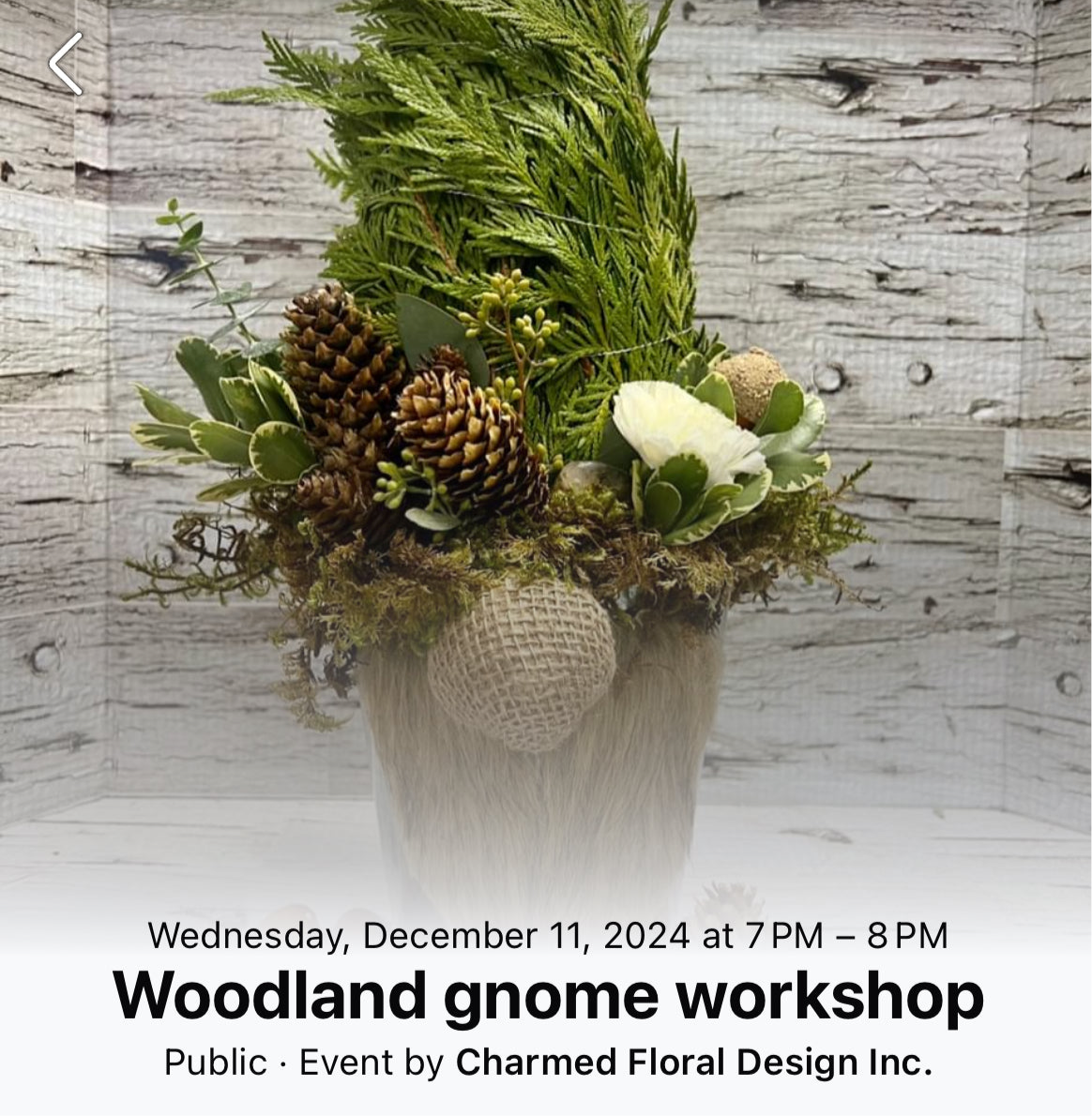 Woodland Gnome - group workshop