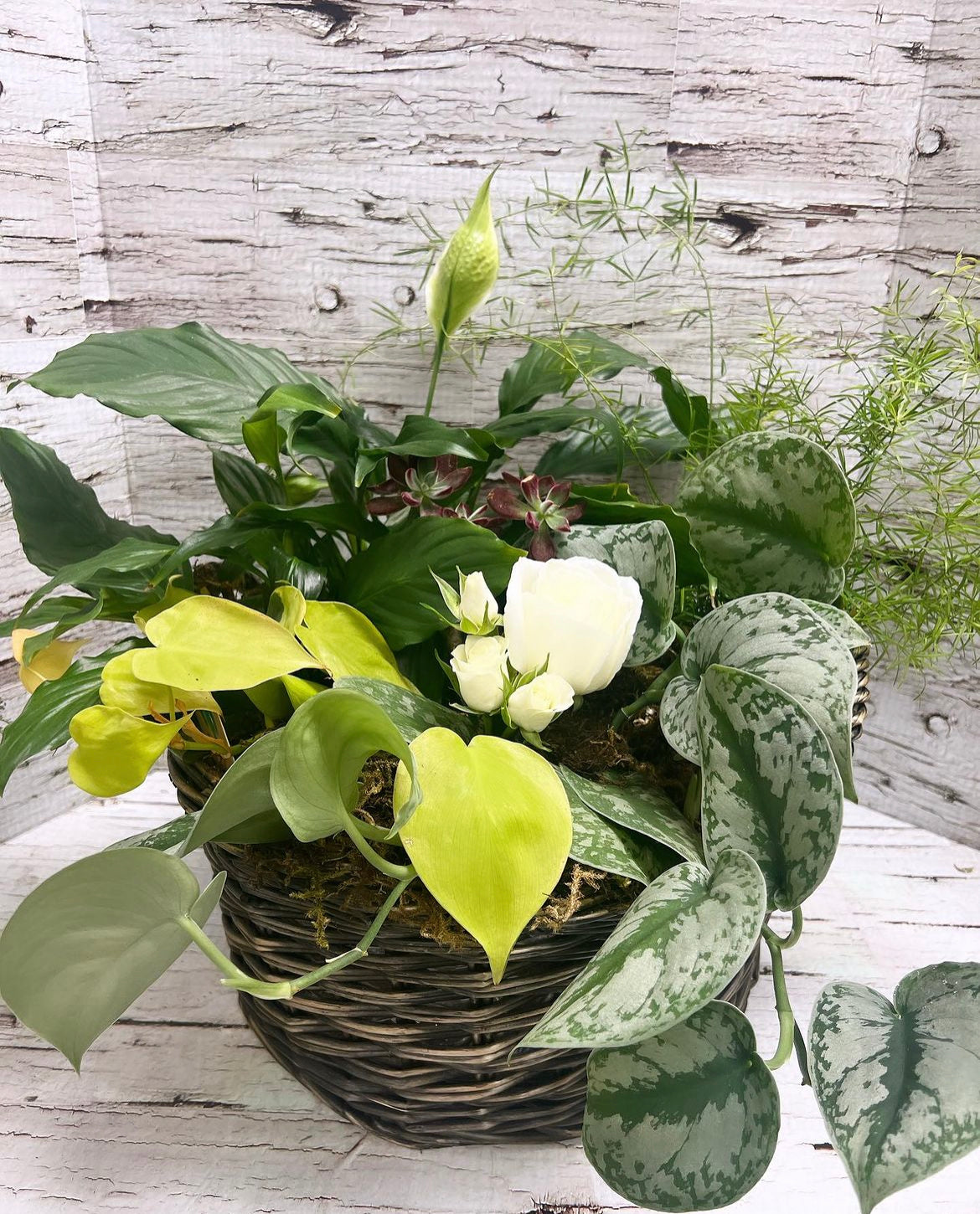Lux mixed planter