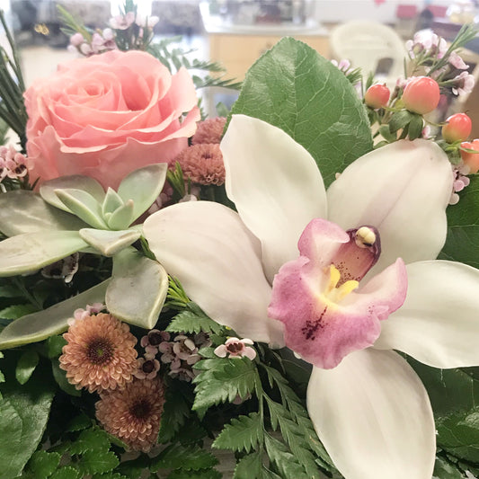 Blooming beauty SP