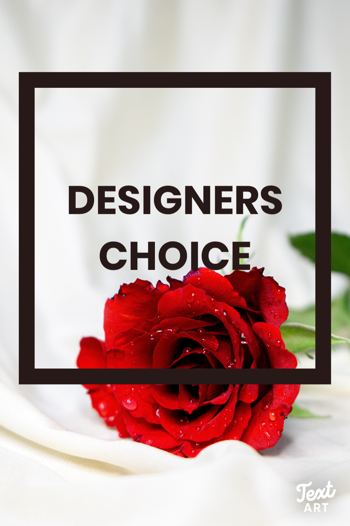 #2 - Designers choice VD